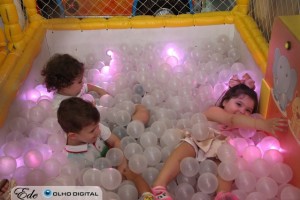 IMG_1550