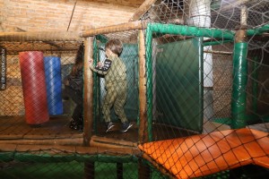 IMG_0291