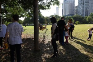 IMG_0356