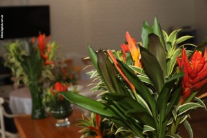 IMG_0025