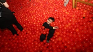 IMG_0165