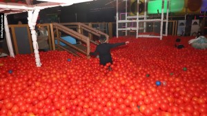 IMG_0241
