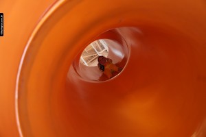 IMG_0134
