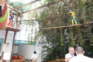 IMG_0252