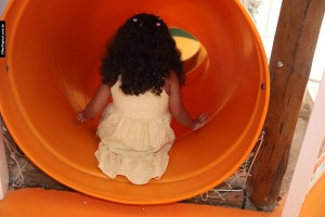 IMG_0422