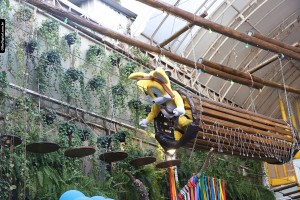 IMG_0778