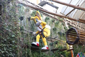 IMG_0779